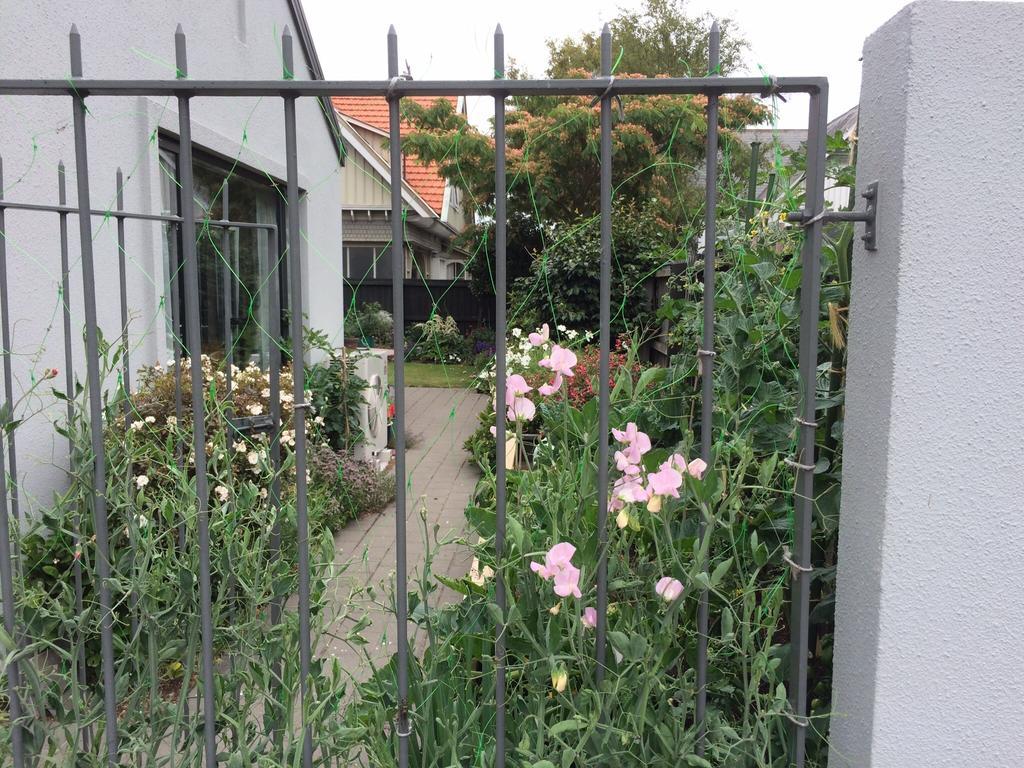 Garden Bed And Breakfast Christchurch Exterior foto