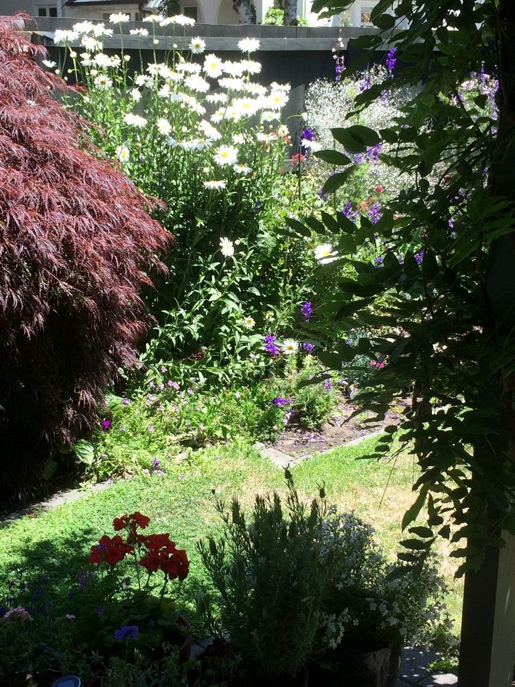 Garden Bed And Breakfast Christchurch Exterior foto
