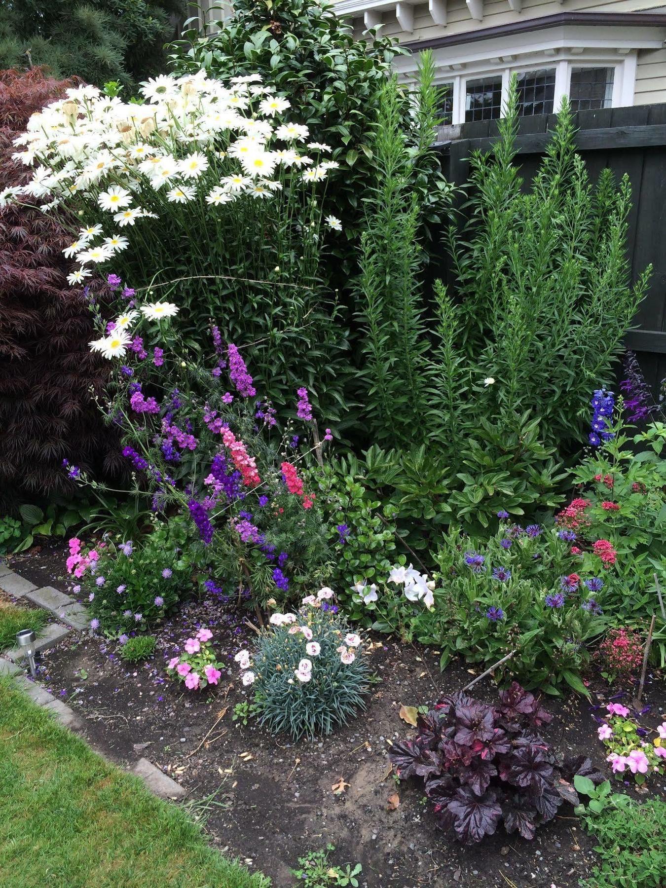 Garden Bed And Breakfast Christchurch Exterior foto