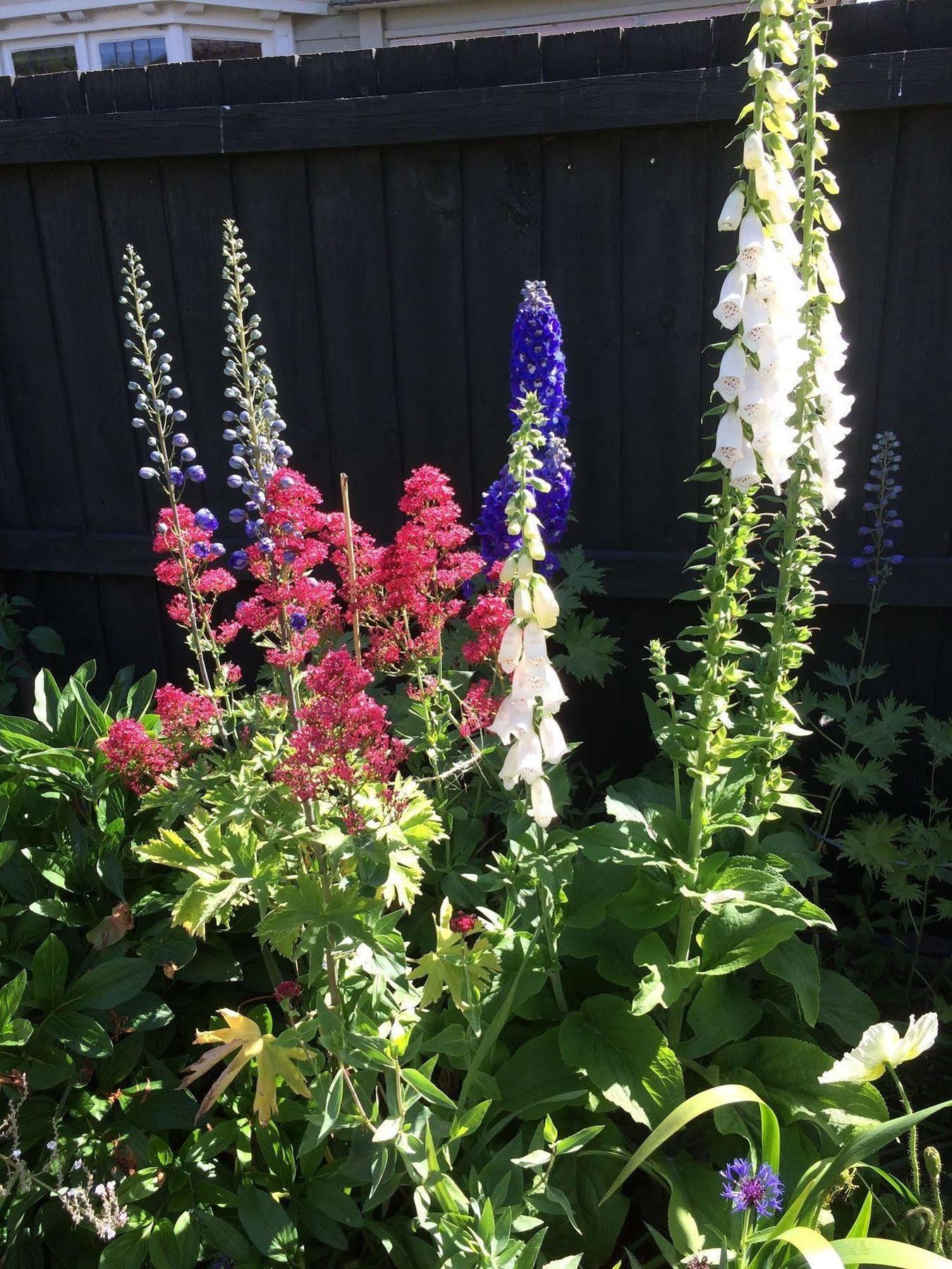 Garden Bed And Breakfast Christchurch Exterior foto